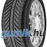 Michelin Pilot Sport A/S Plus ( 255/45 R19 100V